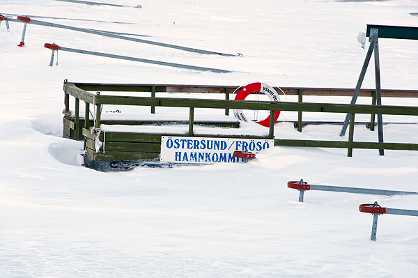 _DSC0008_600