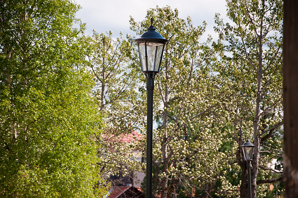 _DSC0011_600