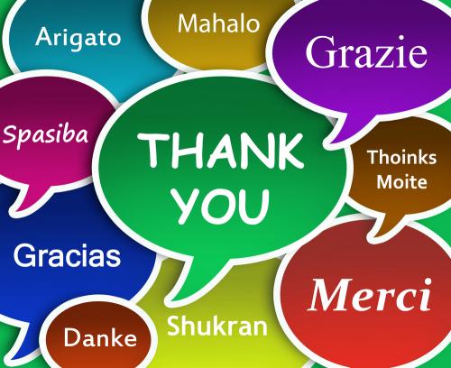 8480-language-translator