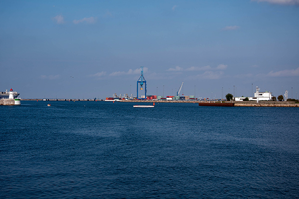 _DSC0251_600